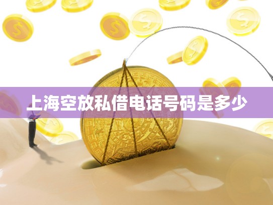 上海空放私借电话号码是多少