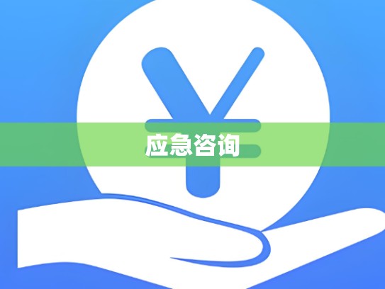 应急咨询 应急咨询